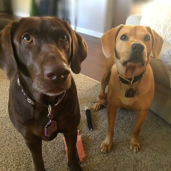 Meet your Posher, Feel Good Buys! - Picture 9 of 14